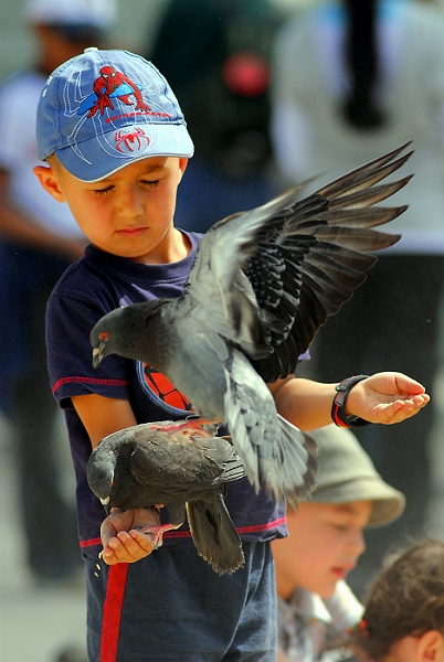 oiseau et enfant_01.jpg - .